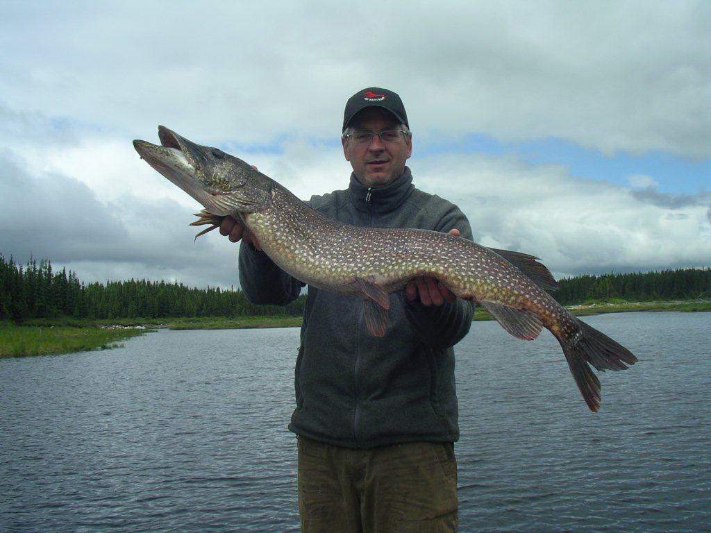 Outfitter  Club Chambeaux - Club Chambeaux and Caniapiscau river, genuine  trophy fishing four species. Hunting and Fishing outfitter !